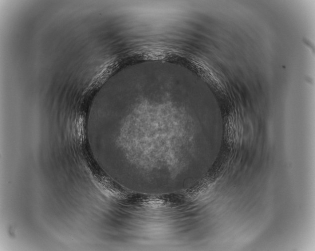 X0000098020598200804111300