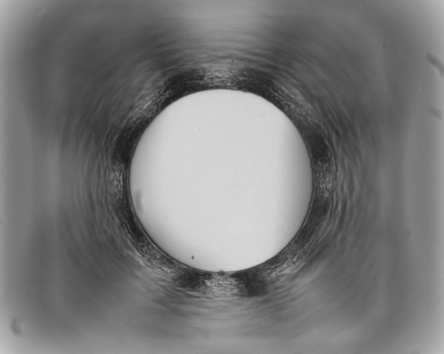 X0000098020603200804111300