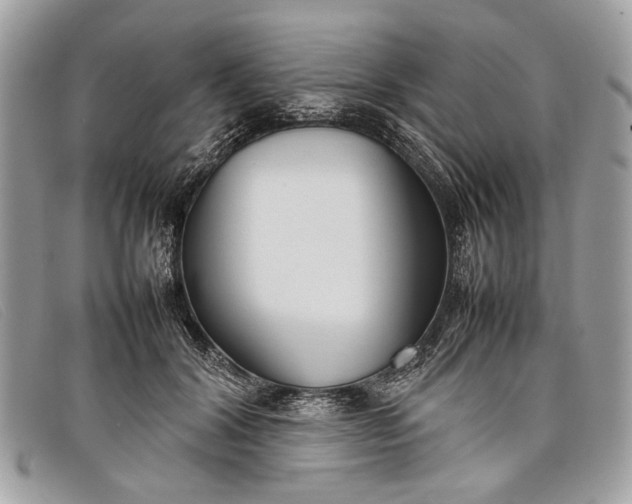 X0000098020604200804111300