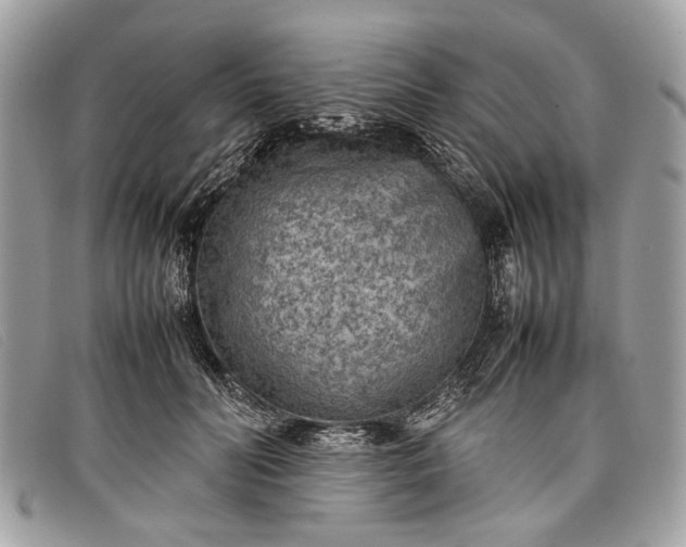 X0000098020606200804111300