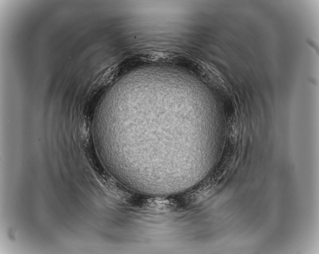 X0000098020607200804111300