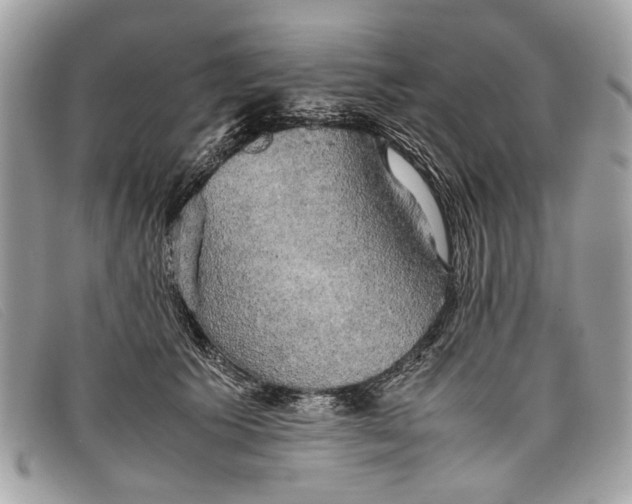 X0000098020609200804111259