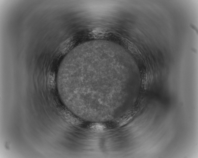 X0000098020610200804111259