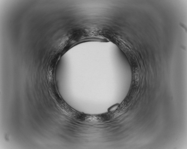 X0000098020611200804111259