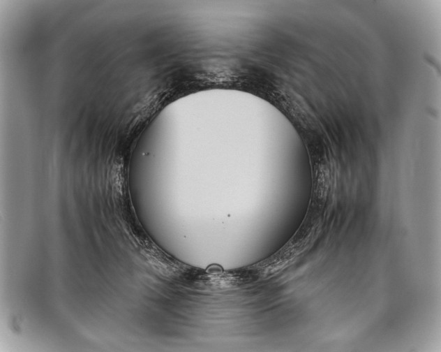 X0000098020612200804111259