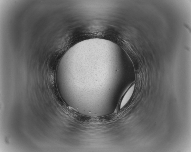 X0000098020613200804111259