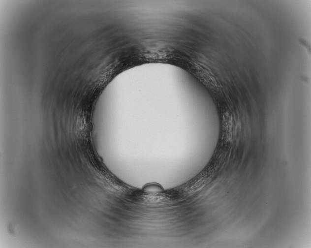 X0000098020614200804111259