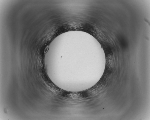 X0000098020615200804111259