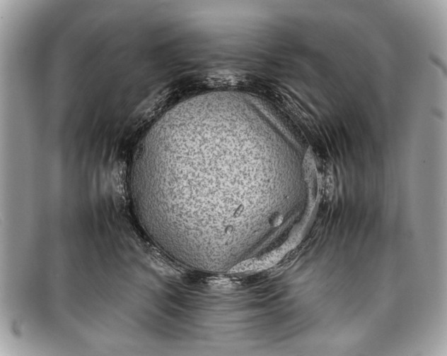 X0000098020616200804111259