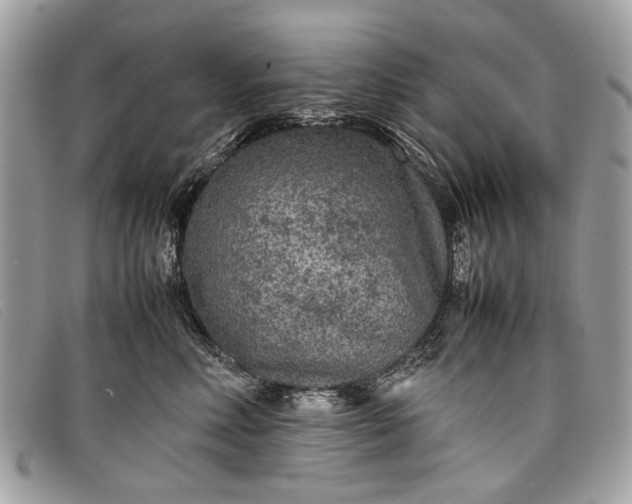 X0000098020618200804111259