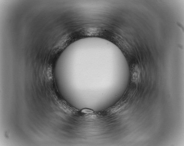 X0000098020620200804111259