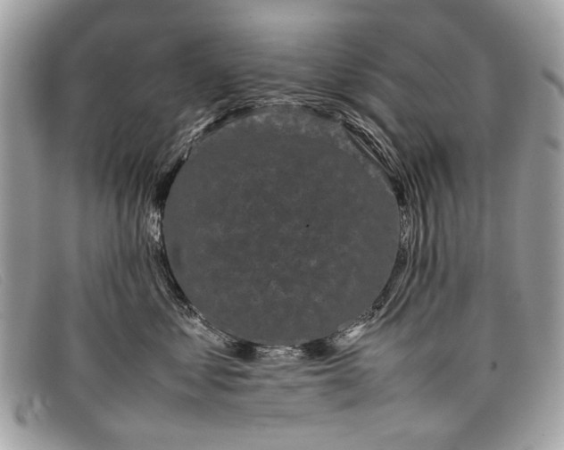 X0000098020621200804111259