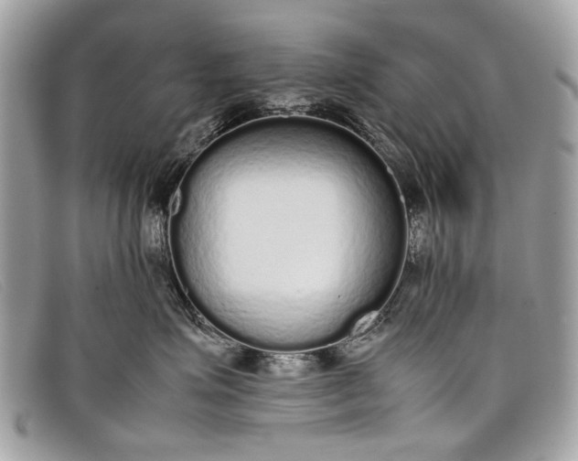 X0000098020623200804111259