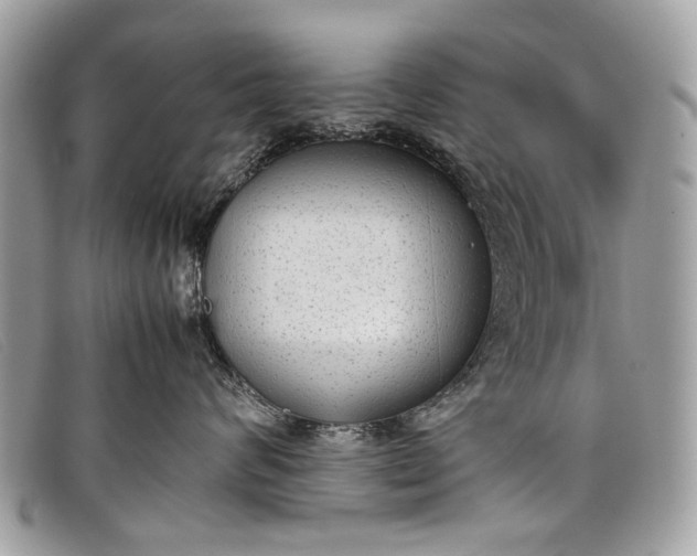 X0000098020624200804111259