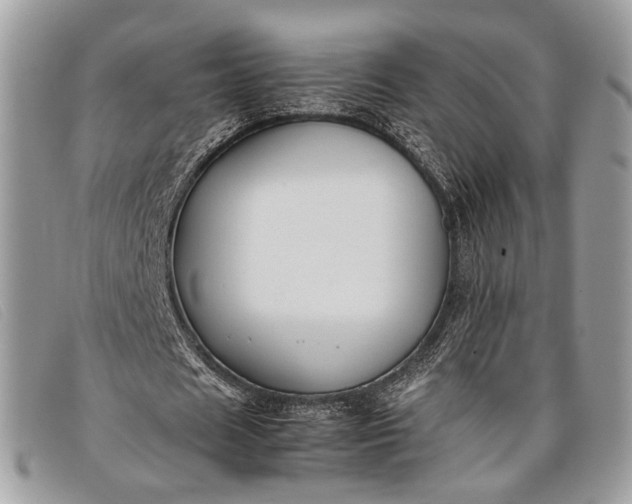 X0000098020625200804111258