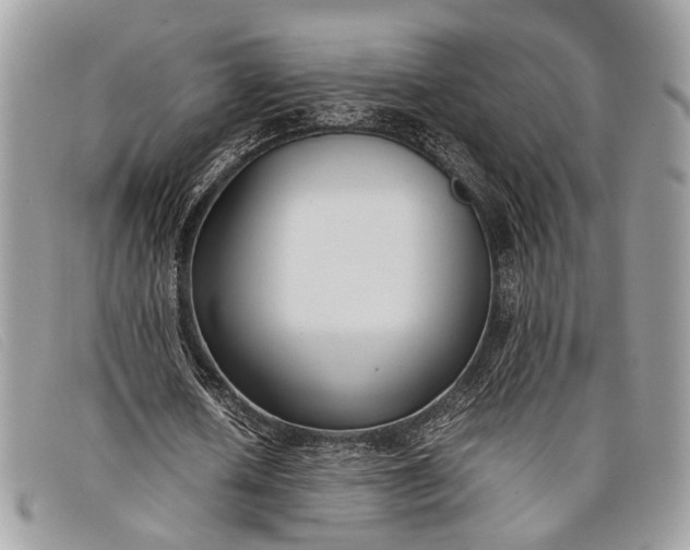 X0000098020626200804111258