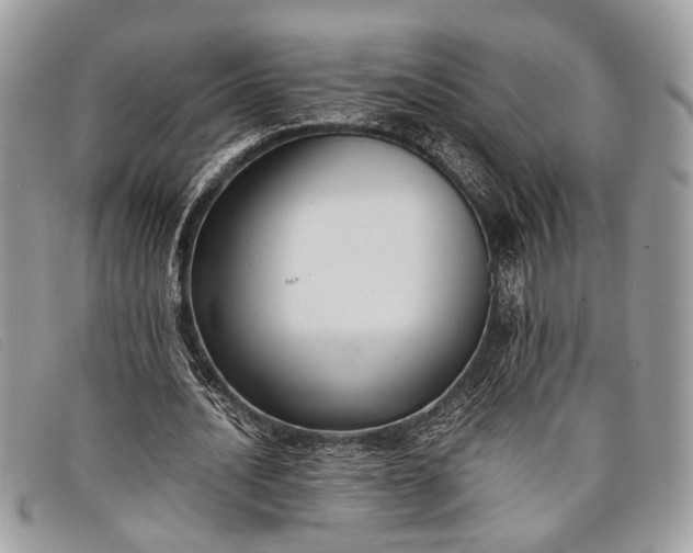 X0000098020628200804111258