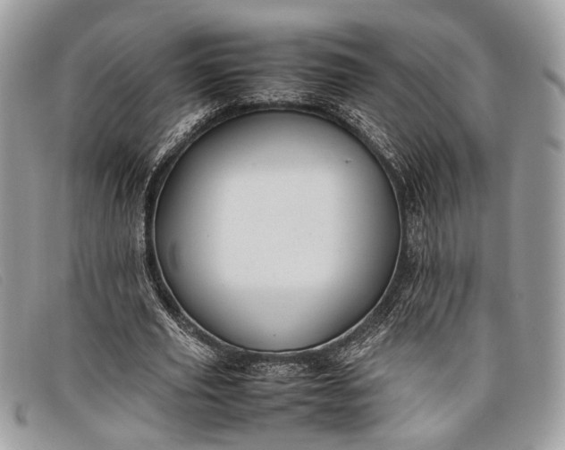 X0000098020629200804111259