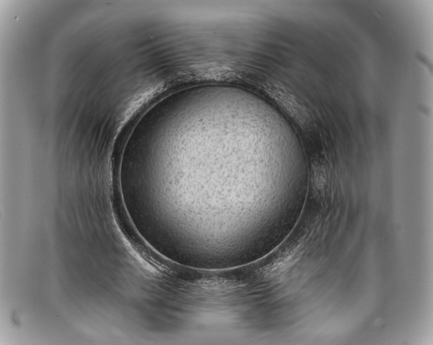 X0000098020630200804111259