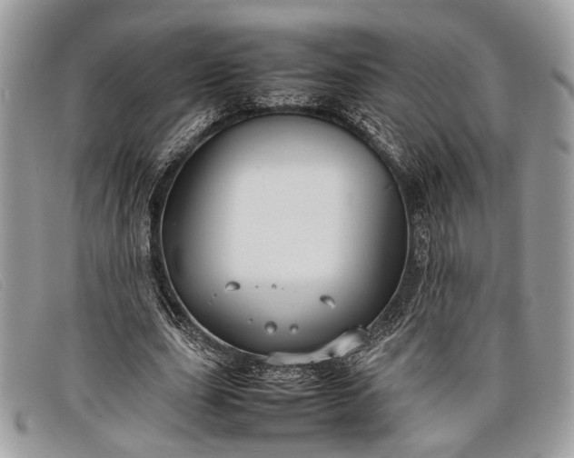 X0000098020631200804111259