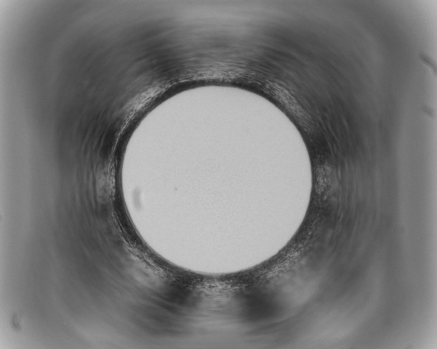 X0000098020632200804111259