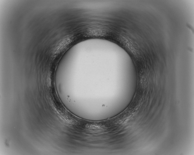 X0000098020635200804111259