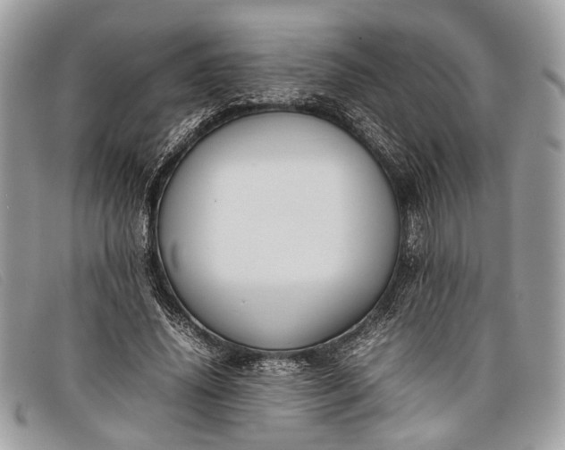 X0000098020636200804111259