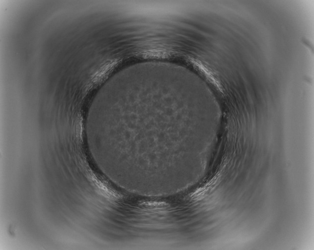 X0000098020637200804111259