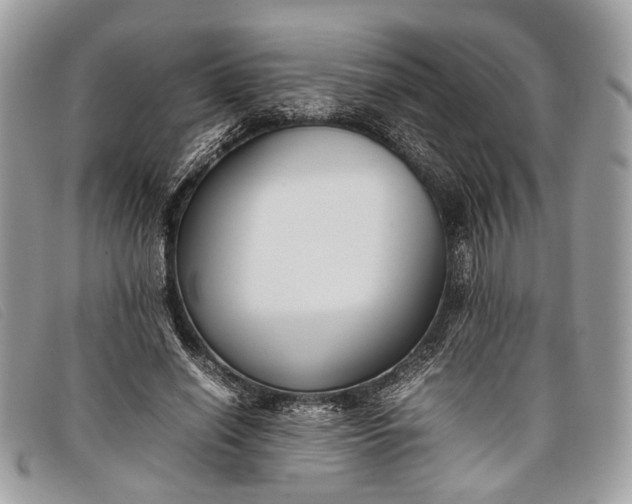 X0000098020638200804111259