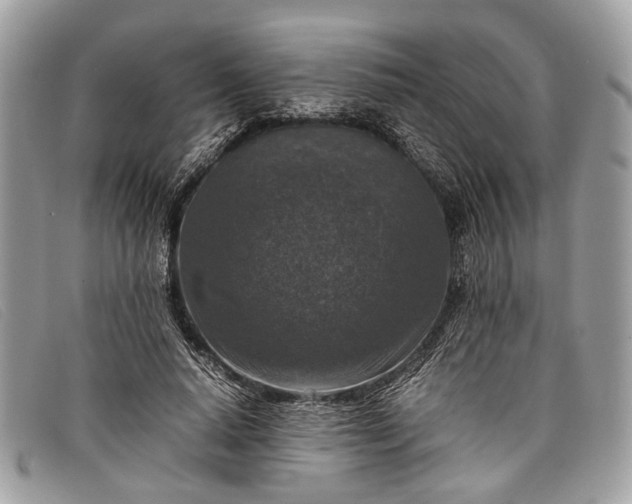 X0000098020640200804111259