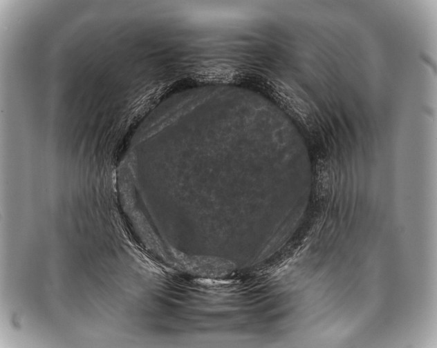 X0000098020641200804111259