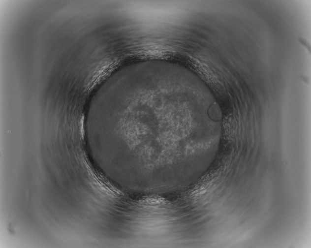 X0000098020642200804111259