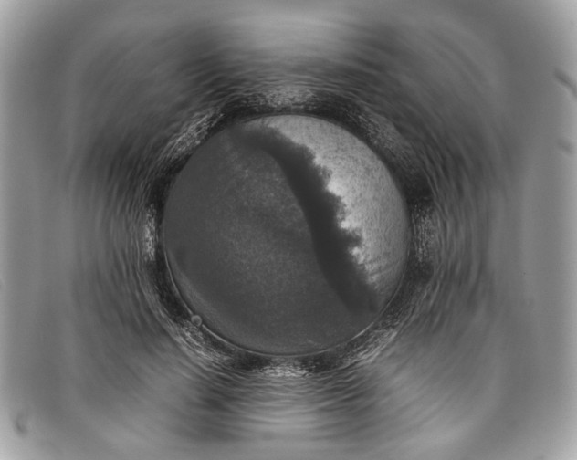 X0000098020644200804111259