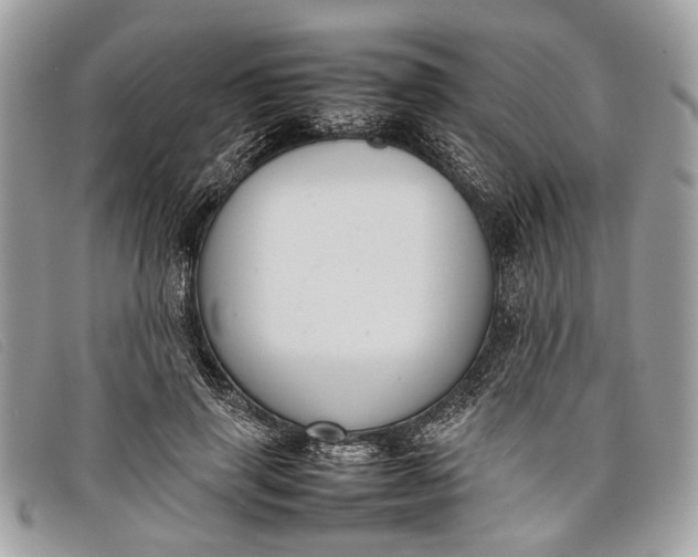 X0000098020645200804111259