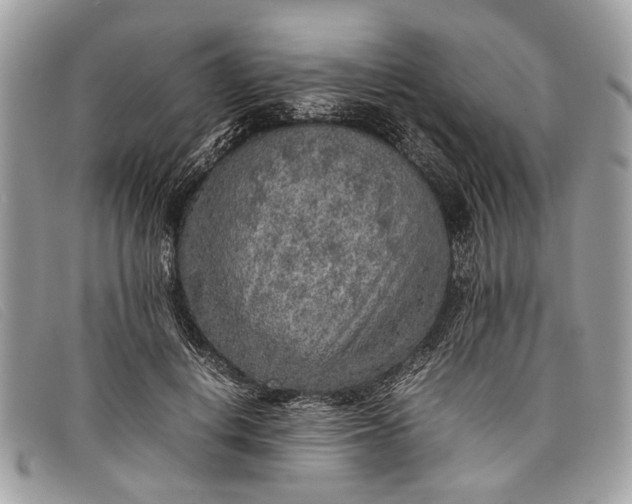 X0000098020648200804111259