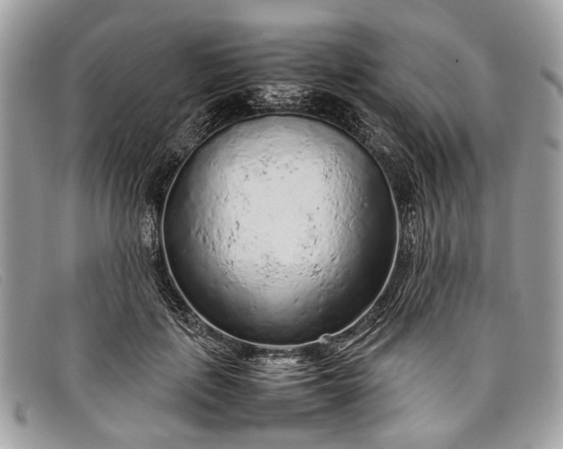 X0000098020651200804111259