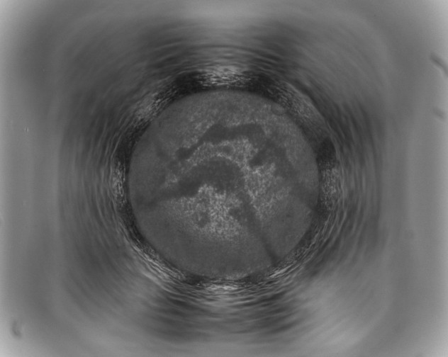 X0000098020653200804111259