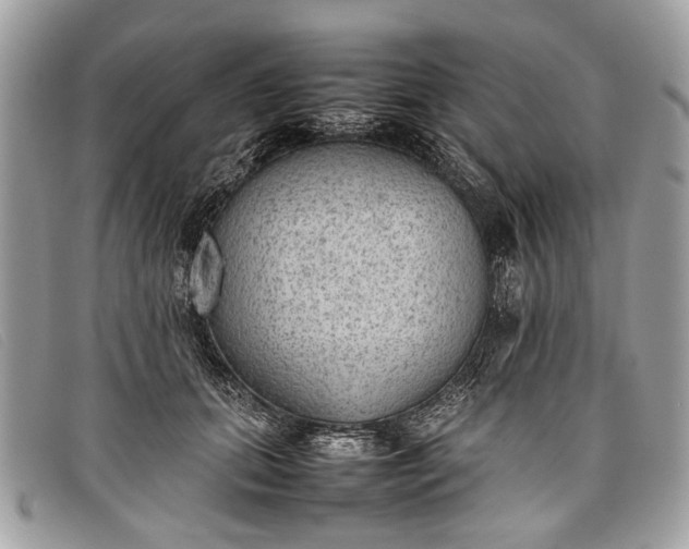 X0000098020655200804111259