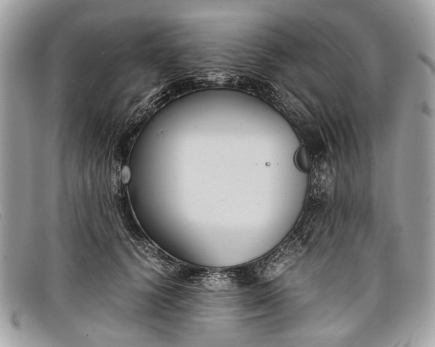 X0000098020656200804111259