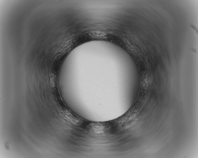 X0000098020658200804111259