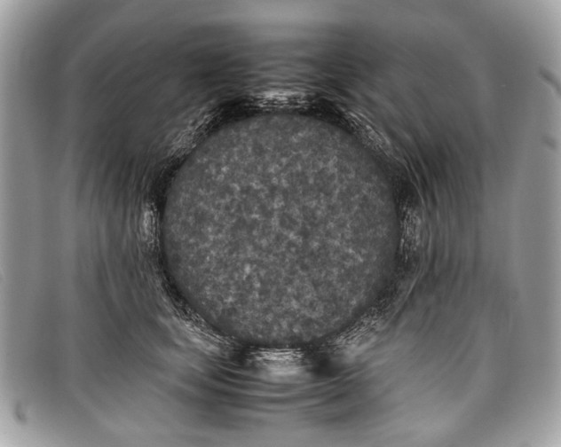 X0000098020659200804111259