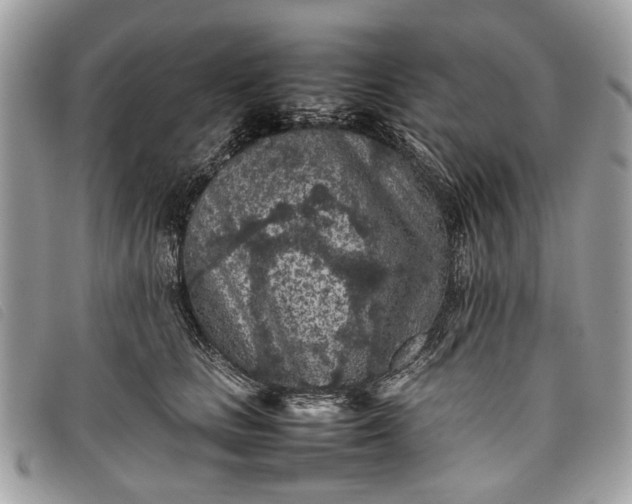 X0000098020661200804111259