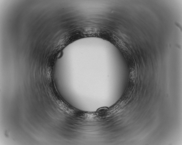 X0000098020662200804111259