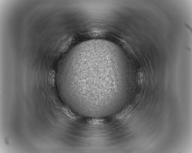 X0000098020664200804111259