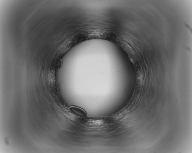 X0000098020665200804111259