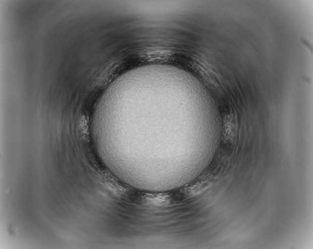 X0000098020667200804111259