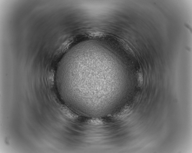 X0000098020668200804111259