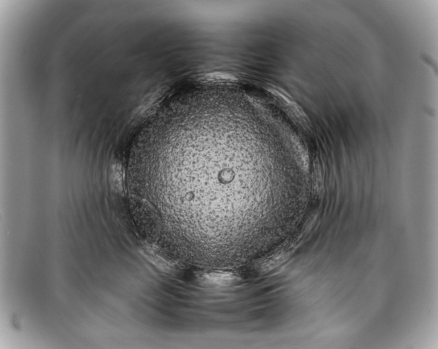 X0000098020669200804111259