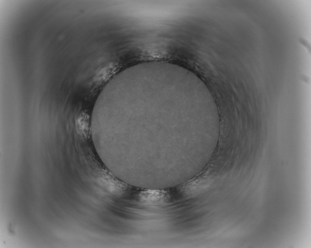 X0000098020672200804111259