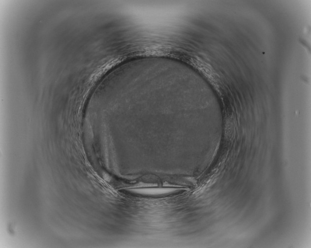 X0000098020673200804111258